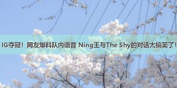 IG夺冠！网友爆料队内语音 Ning王与The Shy的对话太搞笑了！