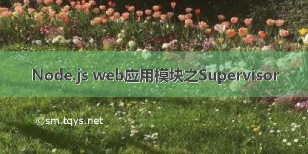 Node.js web应用模块之Supervisor