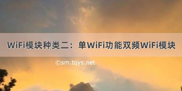 WiFi模块种类二：单WiFi功能双频WiFi模块
