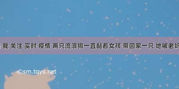 刷新 翻看 我 关注 实时 疫情 两只流浪狗一直黏着女孩 带回家一只 她被老妈撵出家门