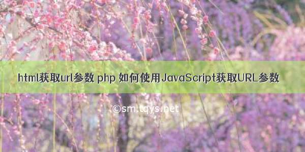 html获取url参数 php 如何使用JavaScript获取URL参数