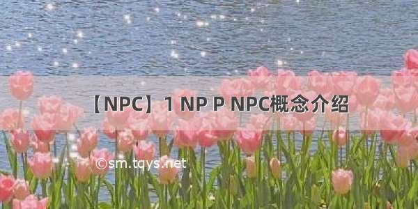 【NPC】1 NP P NPC概念介绍