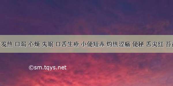 患者发热 口渴 心烦 失眠 口舌生疮 小便短赤 灼热涩痛 便秘 舌尖红 苔黄 脉