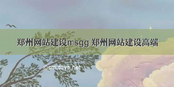 郑州网站建设msgg 郑州网站建设高端