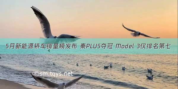 5月新能源轿车销量榜发布 秦PLUS夺冠 Model 3仅排名第七