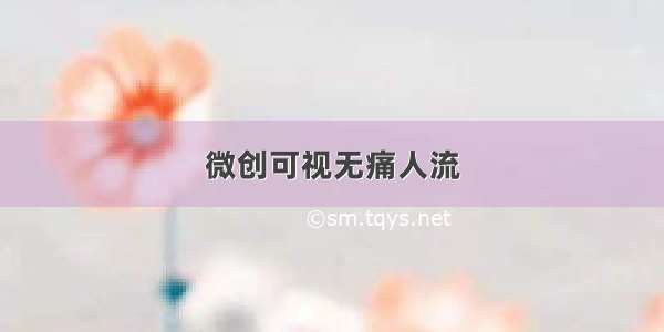 微创可视无痛人流