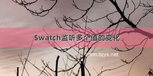 $watch监听多个值的变化