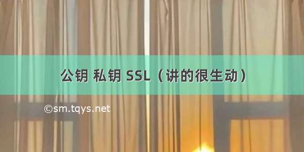 公钥 私钥 SSL（讲的很生动）