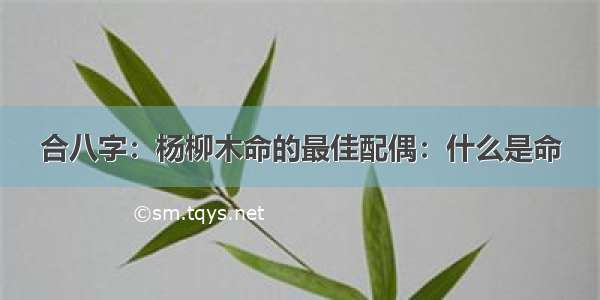 合八字：杨柳木命的最佳配偶：什么是命