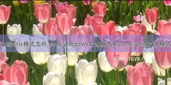 java生成unix格式文件_Java Windows文本格式和Liunx/Unix文本格式转换