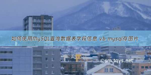 如何使用MySQL查询数据表字段信息 vb mysql存图片