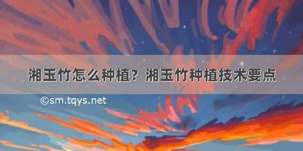 湘玉竹怎么种植？湘玉竹种植技术要点