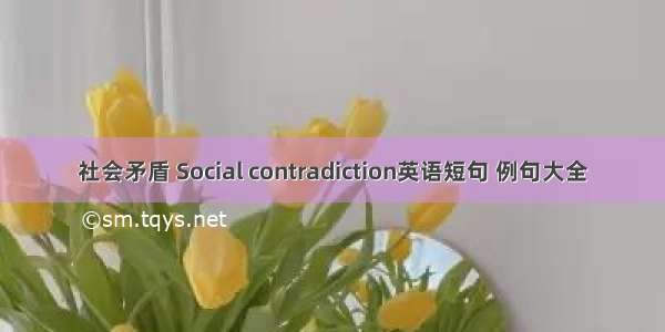 社会矛盾 Social contradiction英语短句 例句大全