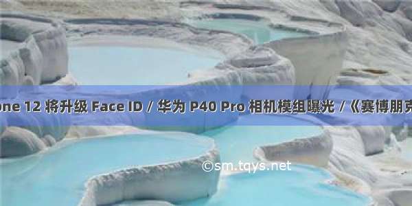 iPhone 12 将升级 Face ID / 华为 P40 Pro 相机模组曝光 /《赛博朋克 2...