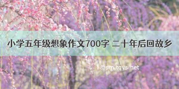 小学五年级想象作文700字 二十年后回故乡