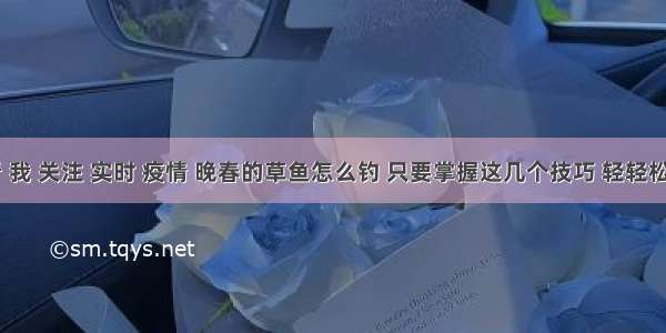 刷新 翻看 我 关注 实时 疫情 晚春的草鱼怎么钓 只要掌握这几个技巧 轻轻松松钓草鱼