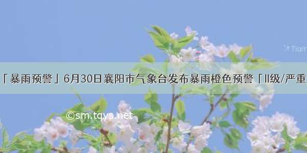「暴雨预警」6月30日襄阳市气象台发布暴雨橙色预警「II级/严重」