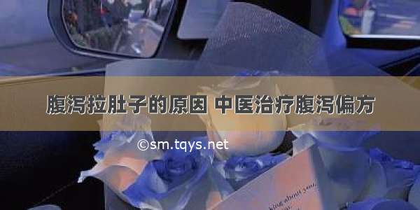 腹泻拉肚子的原因 中医治疗腹泻偏方