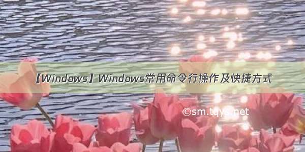 【Windows】Windows常用命令行操作及快捷方式