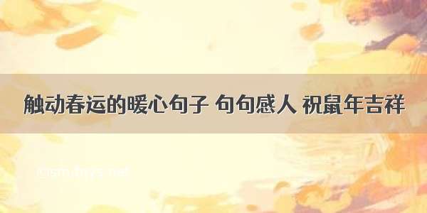 触动春运的暖心句子 句句感人 祝鼠年吉祥