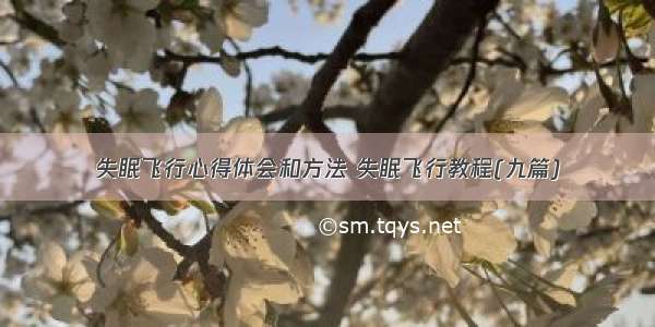 失眠飞行心得体会和方法 失眠飞行教程(九篇)