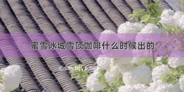 蜜雪冰城雪顶咖啡什么时候出的