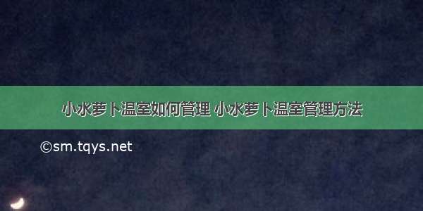 小水萝卜温室如何管理 小水萝卜温室管理方法