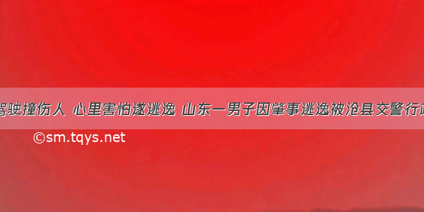 疲劳驾驶撞伤人 心里害怕遂逃逸 山东一男子因肇事逃逸被沧县交警行政拘留