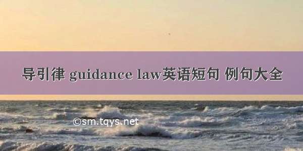 导引律 guidance law英语短句 例句大全