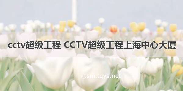 cctv超级工程 CCTV超级工程上海中心大厦