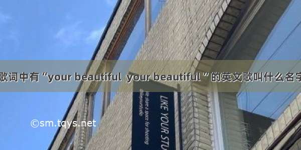 歌词中有“your beautiful  your beautiful ”的英文歌叫什么名字