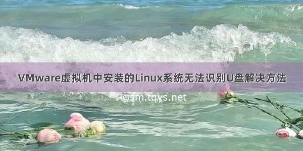 VMware虚拟机中安装的Linux系统无法识别U盘解决方法
