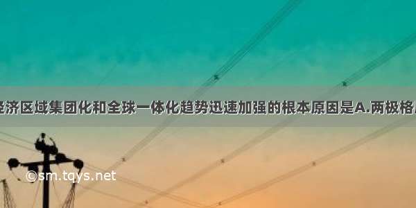 单选题世界经济区域集团化和全球一体化趋势迅速加强的根本原因是A.两极格局的解体B.各