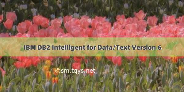 IBM DB2 Intelligent for Data/Text Version 6