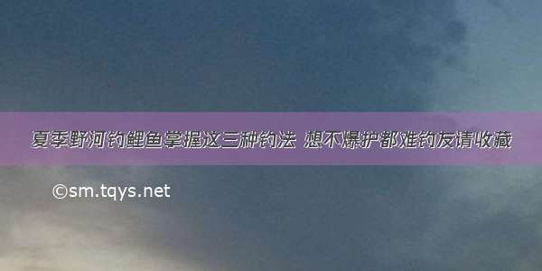 夏季野河钓鲤鱼掌握这三种钓法 想不爆护都难钓友请收藏