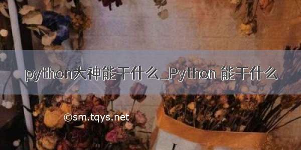 python大神能干什么_Python 能干什么
