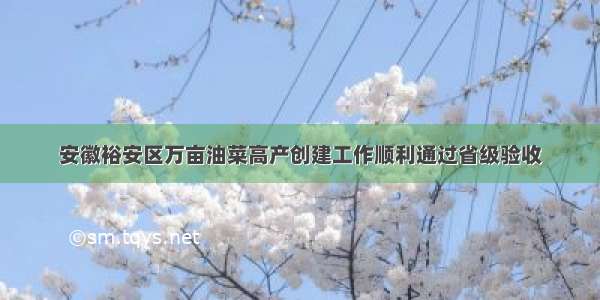 安徽裕安区万亩油菜高产创建工作顺利通过省级验收