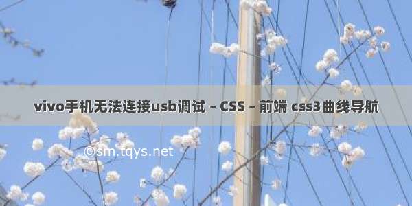 vivo手机无法连接usb调试 – CSS – 前端 css3曲线导航