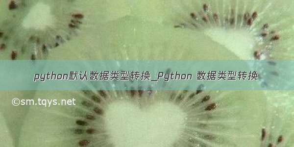 python默认数据类型转换_Python 数据类型转换