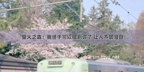 萤火之森：我终于可以碰到你了 让人不禁泪目