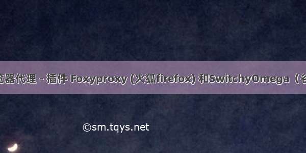 如何设置浏览器代理 - 插件 Foxyproxy (火狐firefox) 和SwitchyOmega（谷歌chrome）