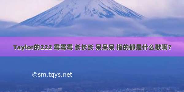 Taylor的222 霉霉霉 长长长 呆呆呆 指的都是什么歌啊？