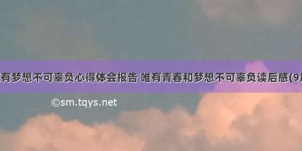 唯有梦想不可辜负心得体会报告 唯有青春和梦想不可辜负读后感(9篇)