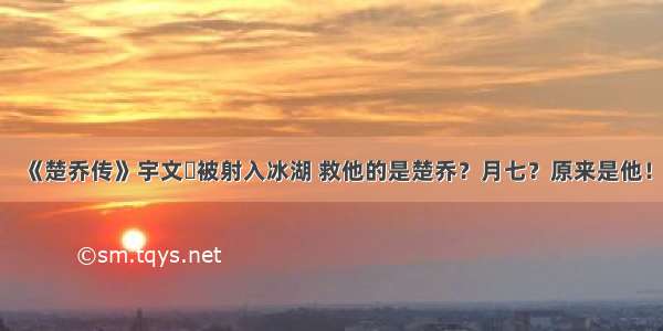 《楚乔传》宇文玥被射入冰湖 救他的是楚乔？月七？原来是他！