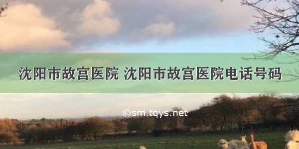 沈阳市故宫医院 沈阳市故宫医院电话号码