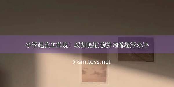 小学语文工作坊：以训促教 提升习作教学水平