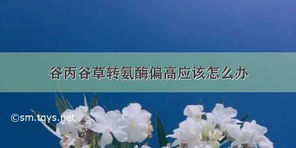 谷丙谷草转氨酶偏高应该怎么办