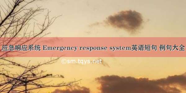 应急响应系统 Emergency response system英语短句 例句大全