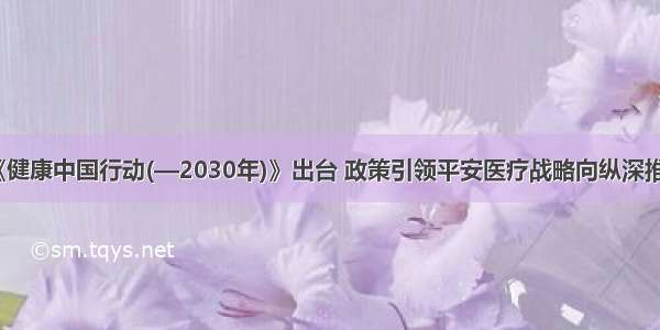 《健康中国行动(—2030年)》出台 政策引领平安医疗战略向纵深推进