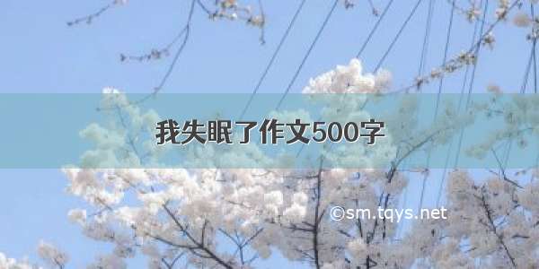 我失眠了作文500字